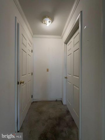 1603 MARION QUIMBY DR, Stevensville, MD 21666