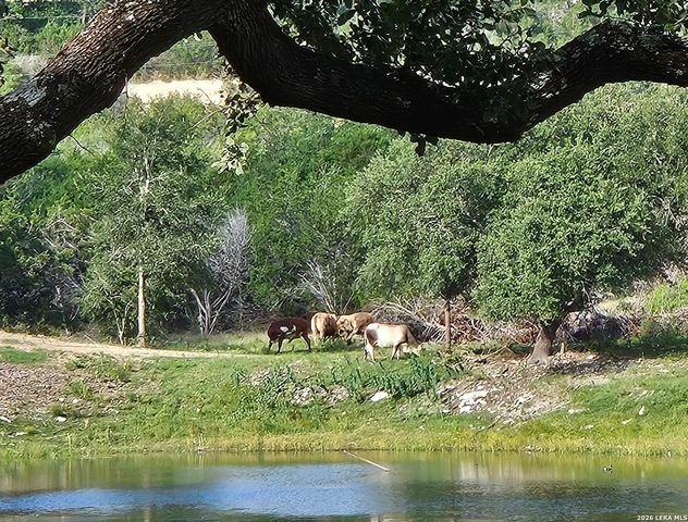 1676 Lake Dr, Spring Branch, TX 78070