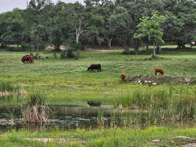 1676 Lake Dr, Spring Branch, TX 78070