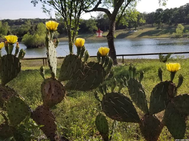 1676 Lake Dr, Spring Branch, TX 78070