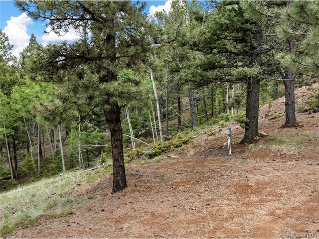 3043 County Road 1, Cripple Creek, CO 80813