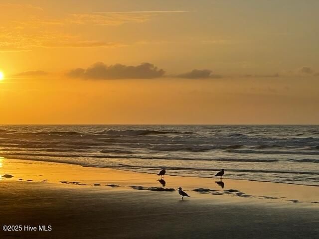 1159 Silver Perch Place Lot 156 Harrisburg, Sunset Beach, NC 28468