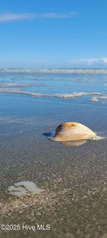 1159 Silver Perch Place Lot 156 Harrisburg, Sunset Beach, NC 28468