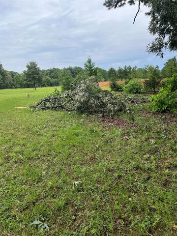 3640 Van Zandt County Road, Ben Wheeler, TX 75754