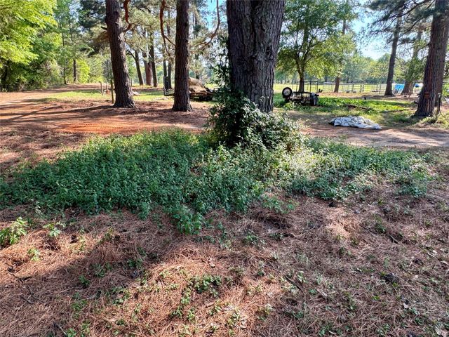 3640 Van Zandt County Road, Ben Wheeler, TX 75754