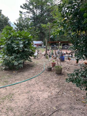 3640 Van Zandt County Road, Ben Wheeler, TX 75754