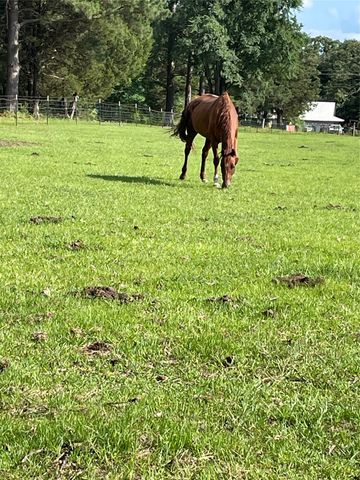 3640 Van Zandt County Road, Ben Wheeler, TX 75754