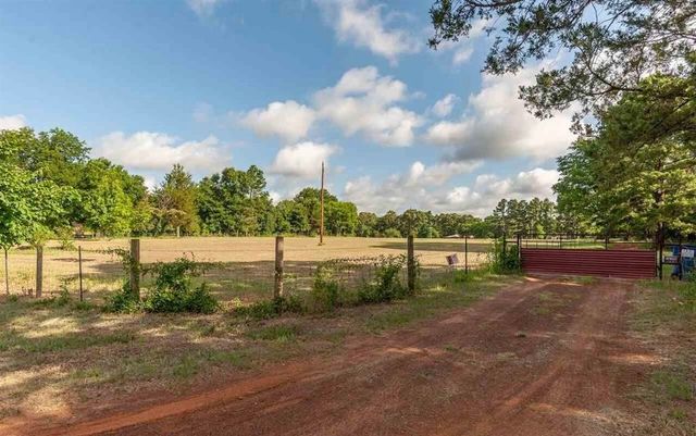 3640 Van Zandt County Road, Ben Wheeler, TX 75754