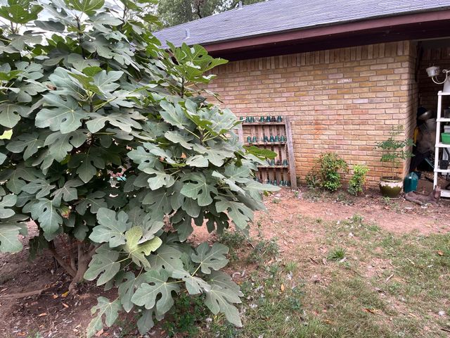 3640 Van Zandt County Road, Ben Wheeler, TX 75754