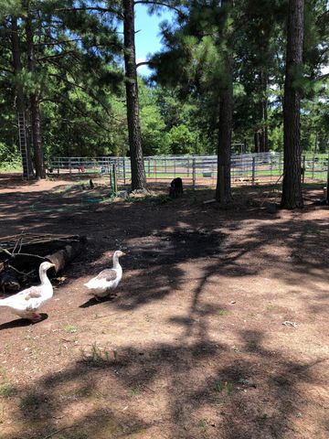 3640 Van Zandt County Road, Ben Wheeler, TX 75754