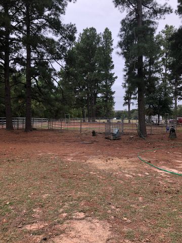 3640 Van Zandt County Road, Ben Wheeler, TX 75754