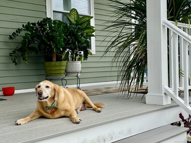 93 Shelton Avenue, Shelton, CT 06484