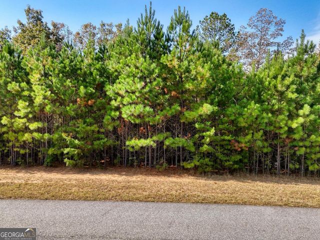 LOT 43 Northshore Lane, Blairsville, GA 30512