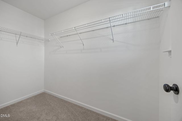 96 Periwinkle Place, Clayton, NC 27527