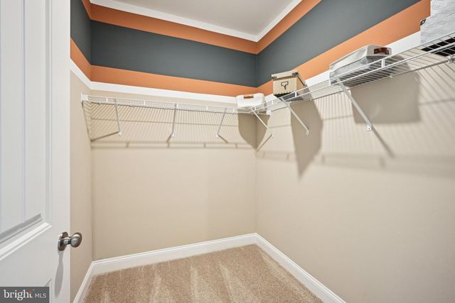 31074 TIGRESS RD, Lewes, DE 19958