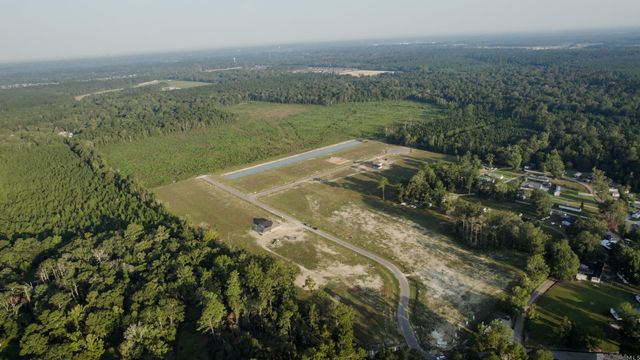 24132 Red Tail Lane, Denham Springs, LA 70726