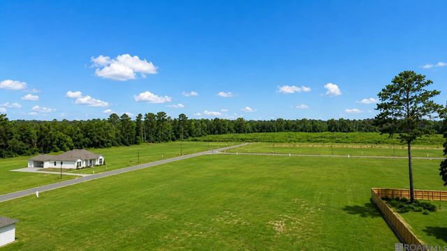 24132 Red Tail Lane, Denham Springs, LA 70726
