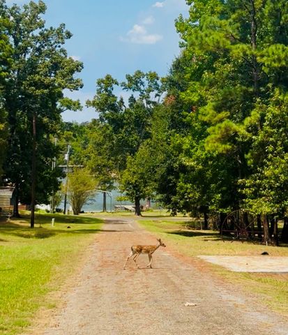 622 Lake Shore Drive, Trinity, TX 75862