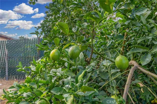 18585 14th, Bloomington, CA 92316