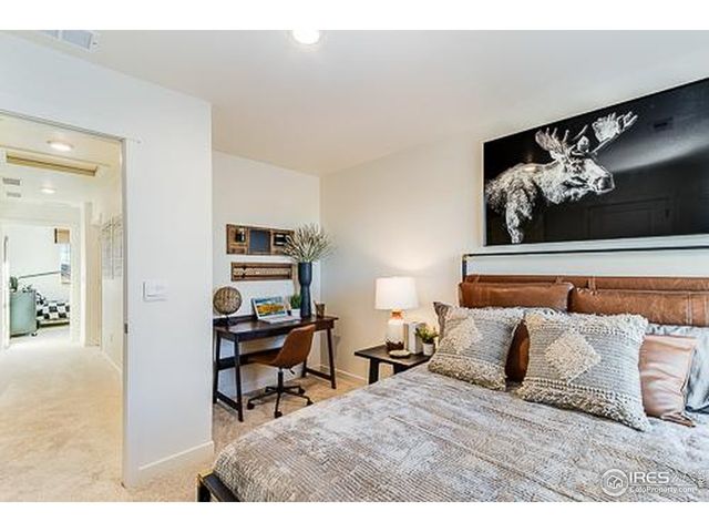 857 Trumpet Ln, Windsor, CO 80550