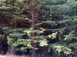 0 Shelley Rd, Coquille, OR 97423