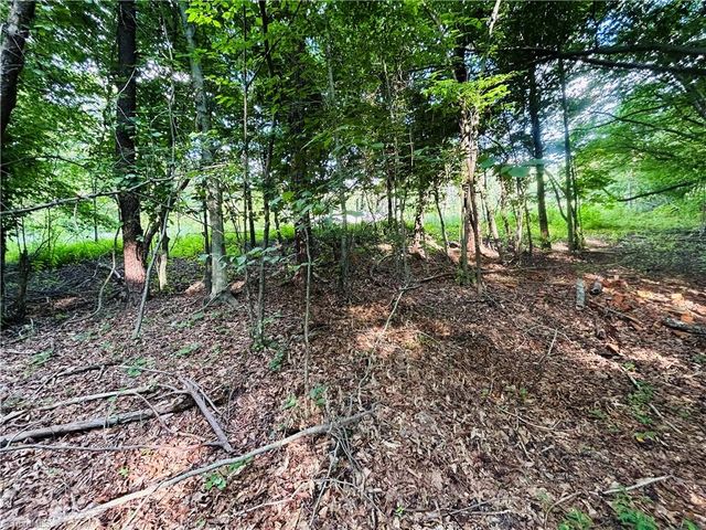 TBD Trinity Church Road, Tobaccoville, NC 27050