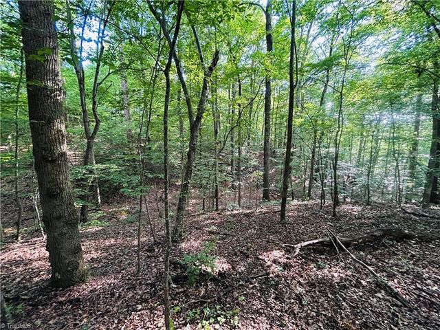 TBD Trinity Church Road, Tobaccoville, NC 27050