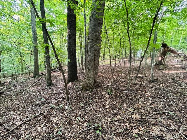 TBD Trinity Church Road, Tobaccoville, NC 27050
