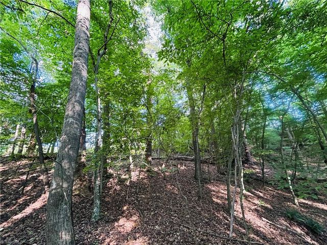 TBD Trinity Church Road, Tobaccoville, NC 27050