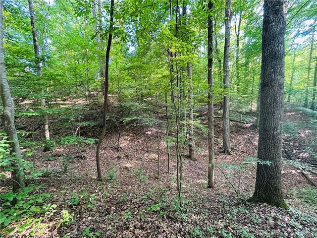 TBD Trinity Church Road, Tobaccoville, NC 27050