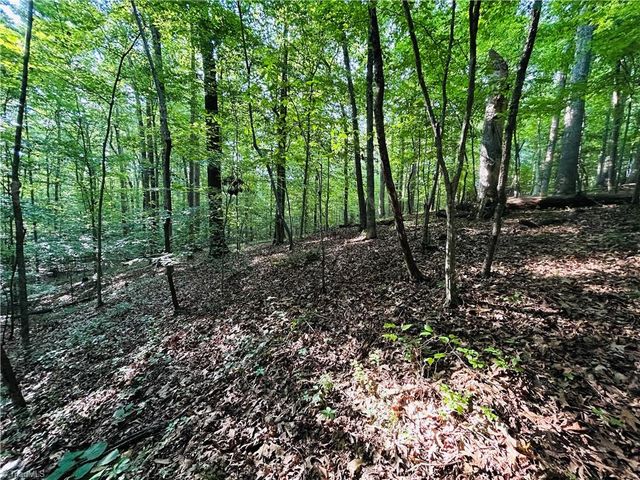 TBD Trinity Church Road, Tobaccoville, NC 27050