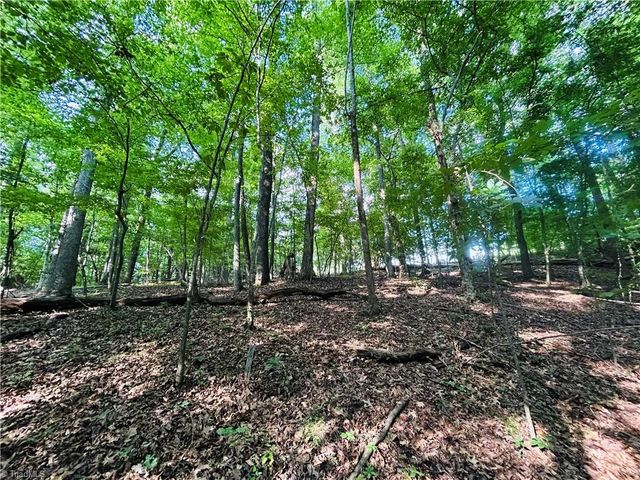 TBD Trinity Church Road, Tobaccoville, NC 27050