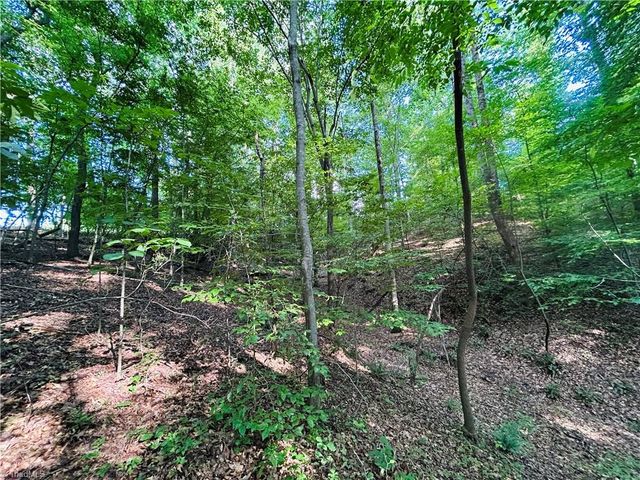TBD Trinity Church Road, Tobaccoville, NC 27050