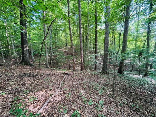TBD Trinity Church Road, Tobaccoville, NC 27050