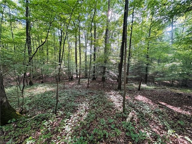 TBD Trinity Church Road, Tobaccoville, NC 27050