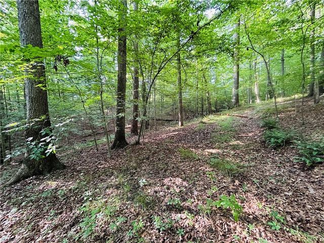 TBD Trinity Church Road, Tobaccoville, NC 27050