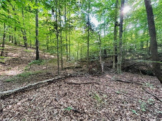 TBD Trinity Church Road, Tobaccoville, NC 27050