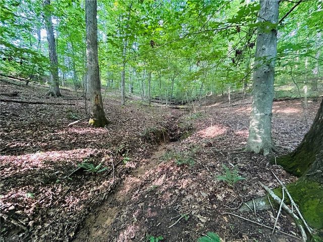TBD Trinity Church Road, Tobaccoville, NC 27050