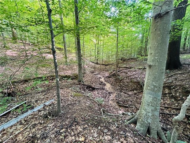 TBD Trinity Church Road, Tobaccoville, NC 27050