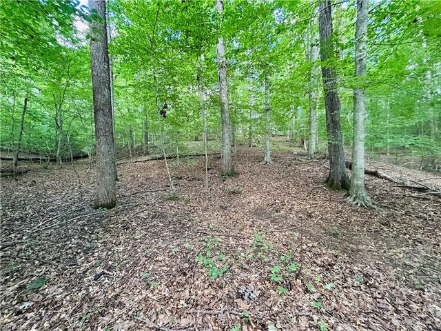 TBD Trinity Church Road, Tobaccoville, NC 27050