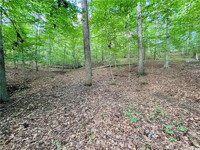 TBD Trinity Church Road, Tobaccoville, NC 27050