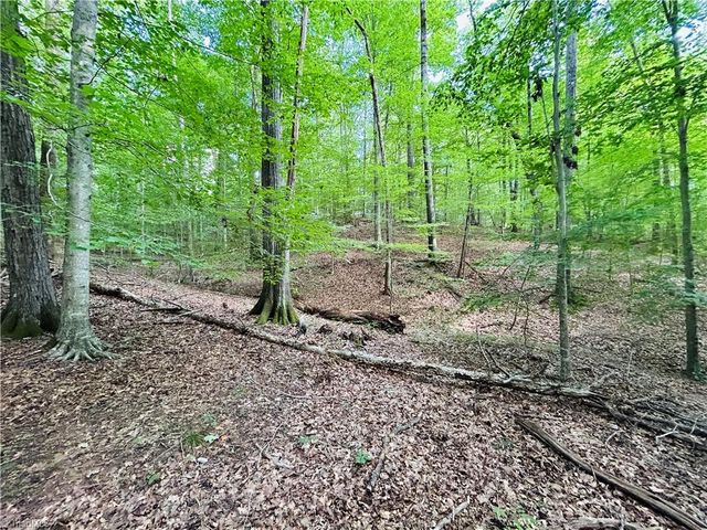 TBD Trinity Church Road, Tobaccoville, NC 27050
