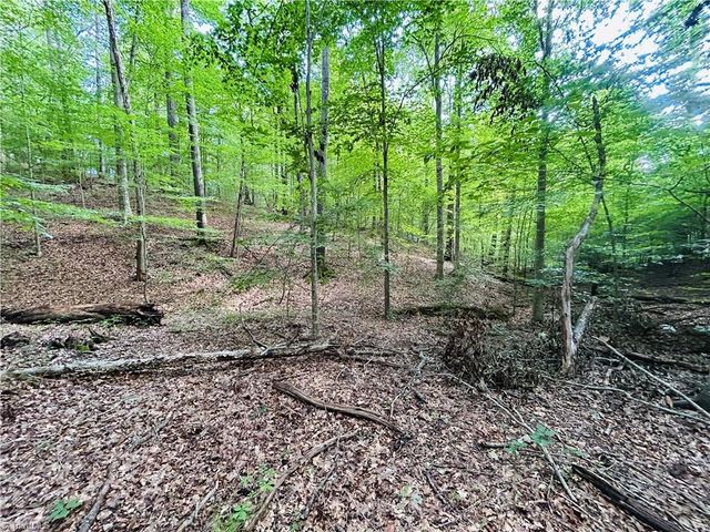 TBD Trinity Church Road, Tobaccoville, NC 27050