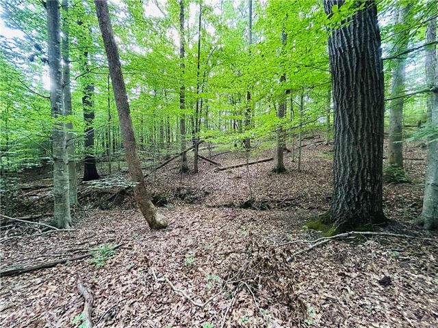 TBD Trinity Church Road, Tobaccoville, NC 27050