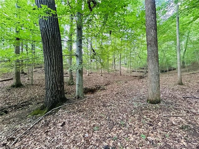 TBD Trinity Church Road, Tobaccoville, NC 27050