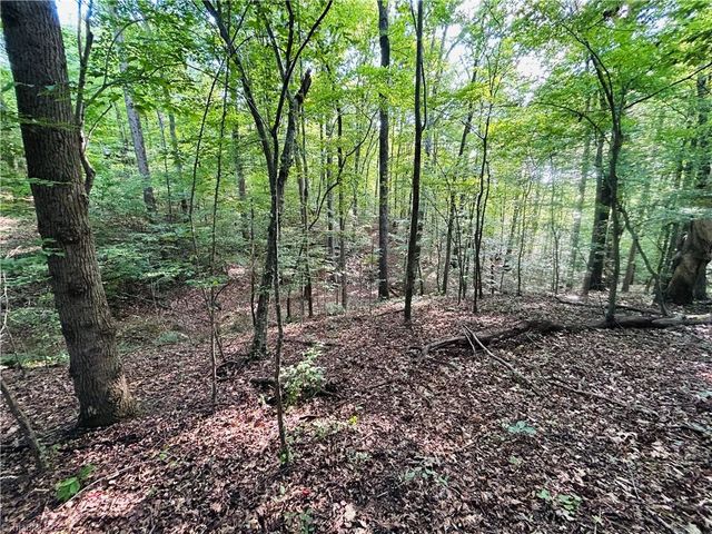 TBD Trinity Church Road, Tobaccoville, NC 27050
