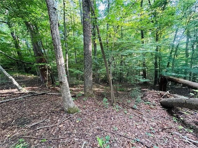 TBD Trinity Church Road, Tobaccoville, NC 27050