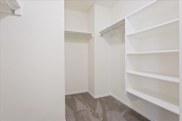 1015 Grande Mesa DR, Georgetown, TX 78626