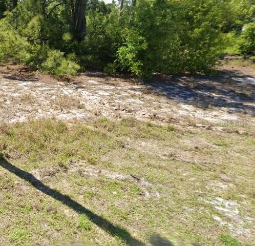 620 LAKE BETTY DRIVE, Lake Placid, FL 33852