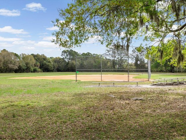 11310 GLENMONT DRIVE, Tampa, FL 33635